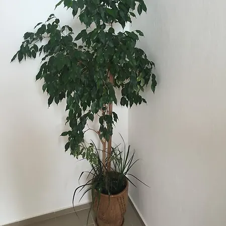 Gæstehus Complex Laguna-kantardzhiev Primorsko