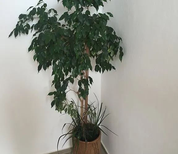 Guest house Complex Laguna-kantardzhiev Primorsko