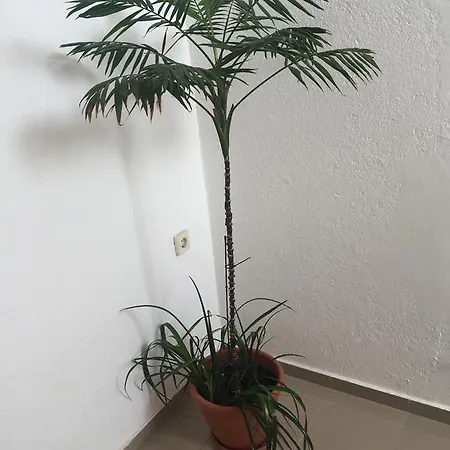 Complex Laguna-kantardzhiev 普里莫尔斯科